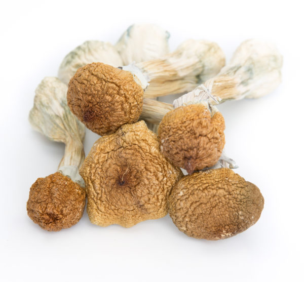 Order Magic Mushrooms Online