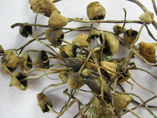 Buy psychedelics online