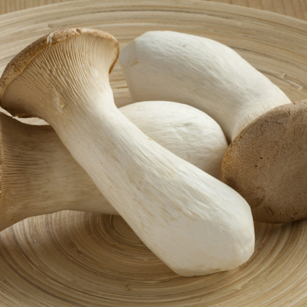 Morel Mushrooms for Sale