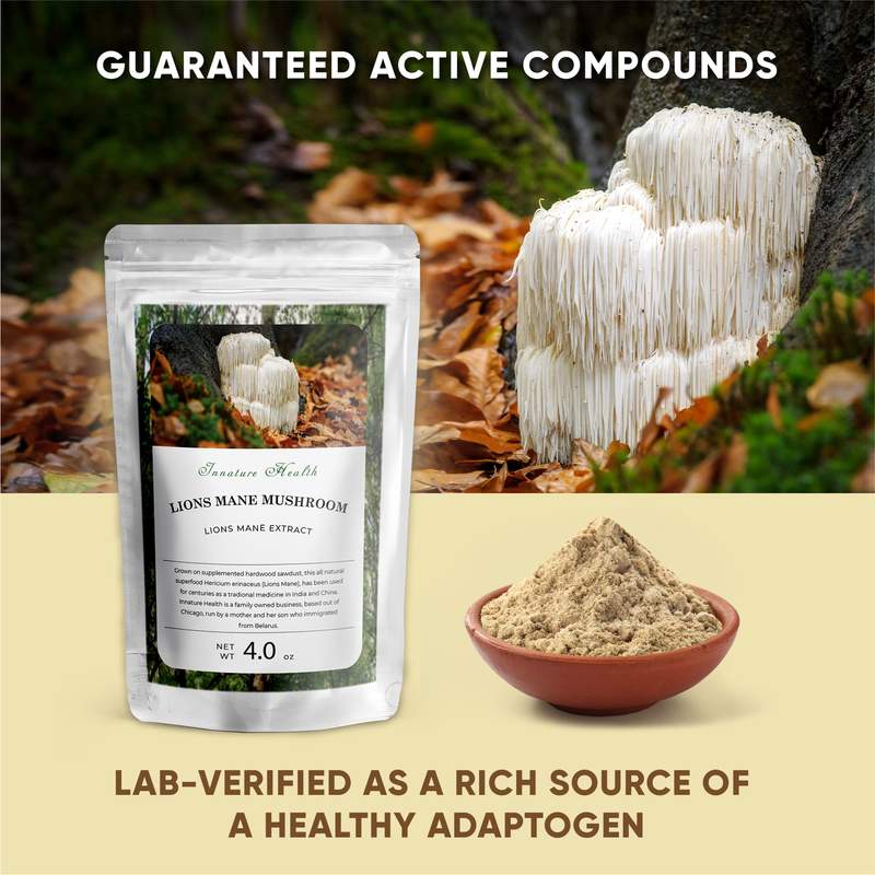 buy Lion's Mane Mushroom Extract Powder - Image 2